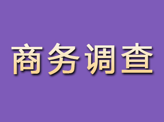 自流井商务调查